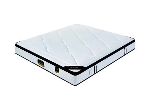 Six-star hotel model